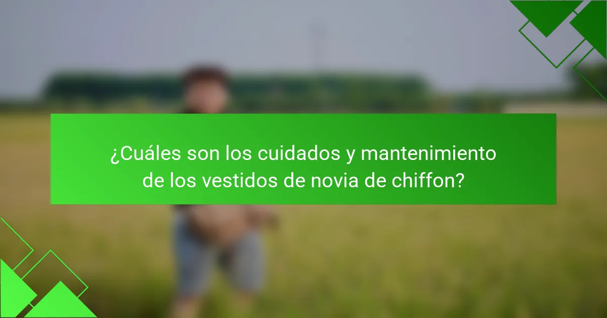 ¿Cuáles son los cuidados y mantenimiento de los vestidos de novia de chiffon?